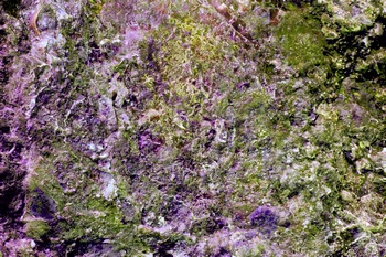 A 145C